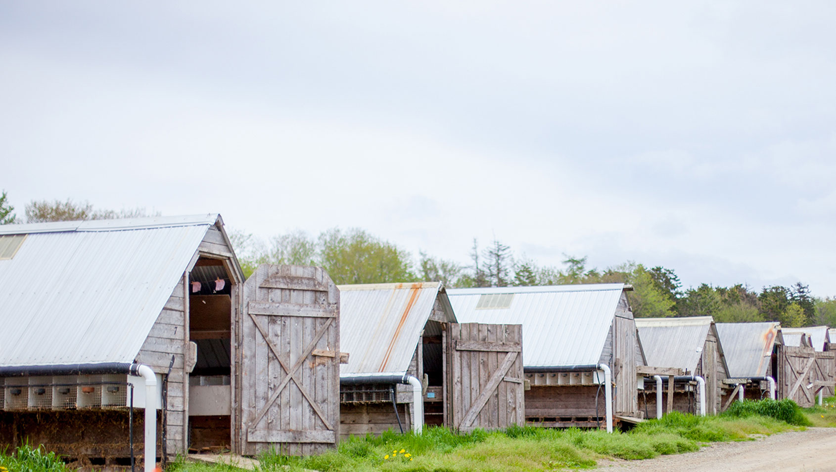 A vital part of Nova Scotia's rural economy for over 75 years.